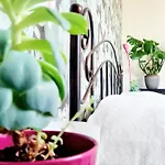 Best Time In Apartmán *