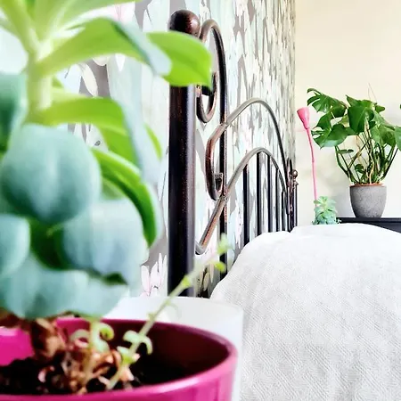 Best Time In Lejlighed *