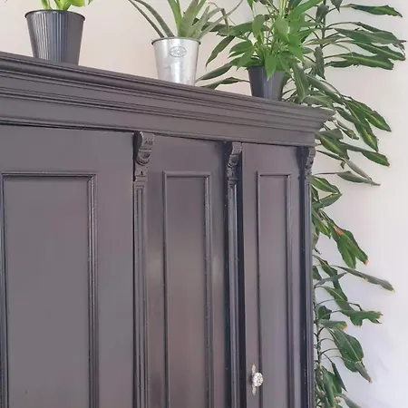 Best Time In Apartman *