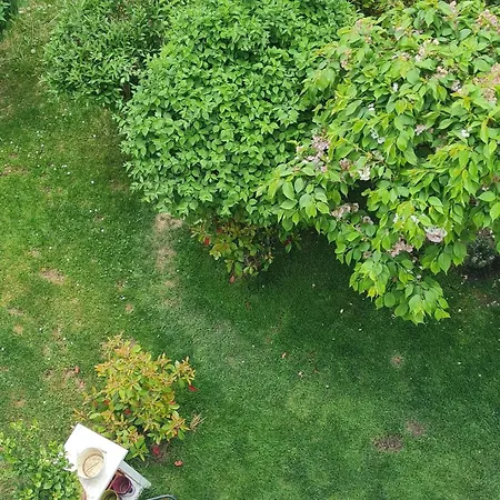 Apartman Best Time In