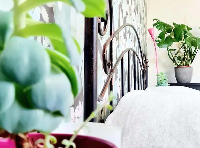 Best Time In Lägenhet *