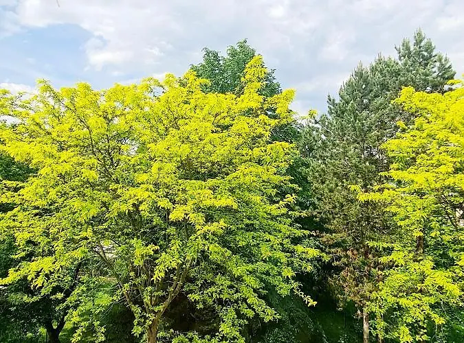 Best Time In غراتس