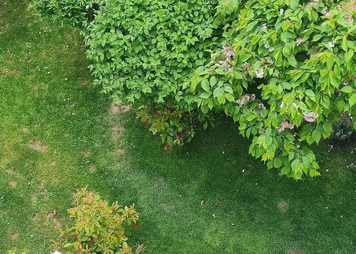 Lägenhet Best Time In